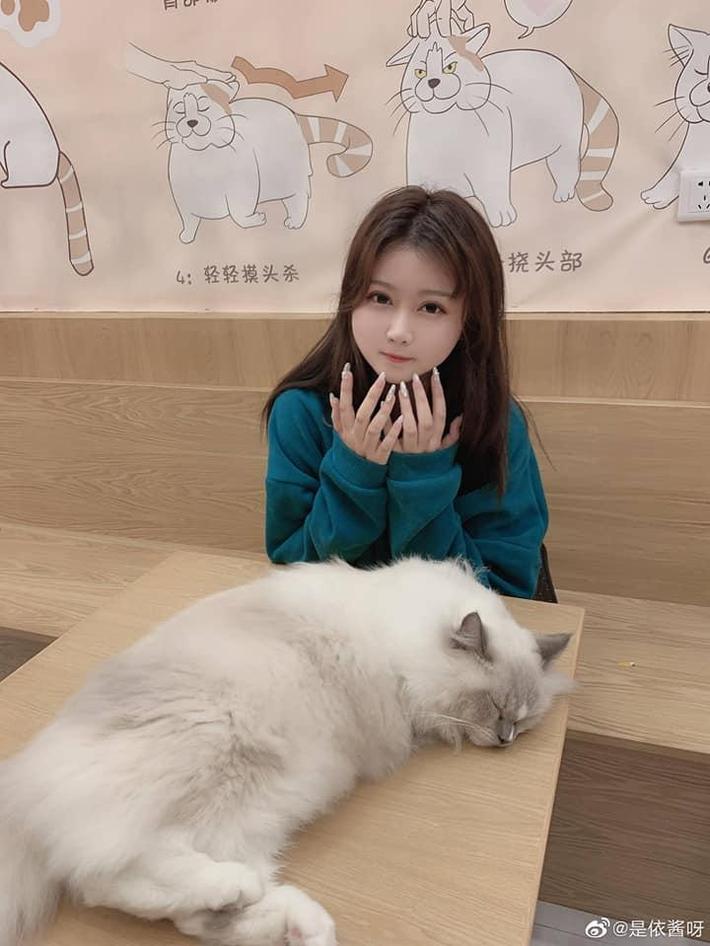 是依酱呀刚入职的新人，为大家奉上美图图包