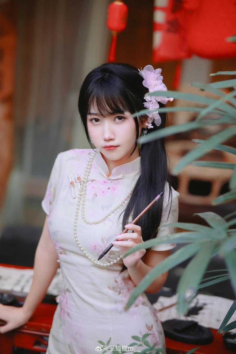 不呆猫高清原图，把最好的一面全都呈现