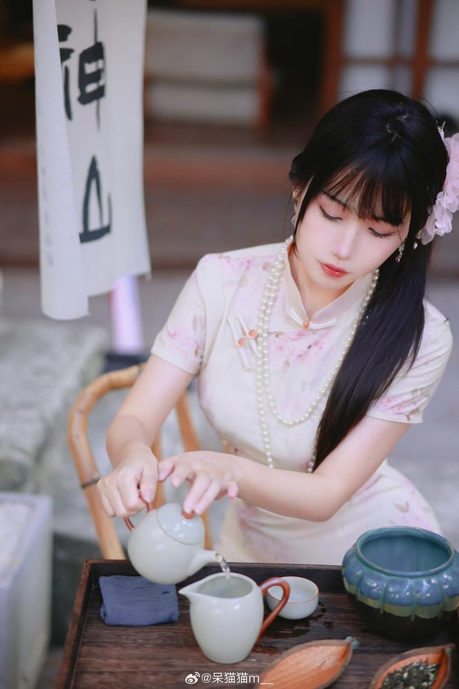 不呆猫高清代表作，展示智者修行的完美之路