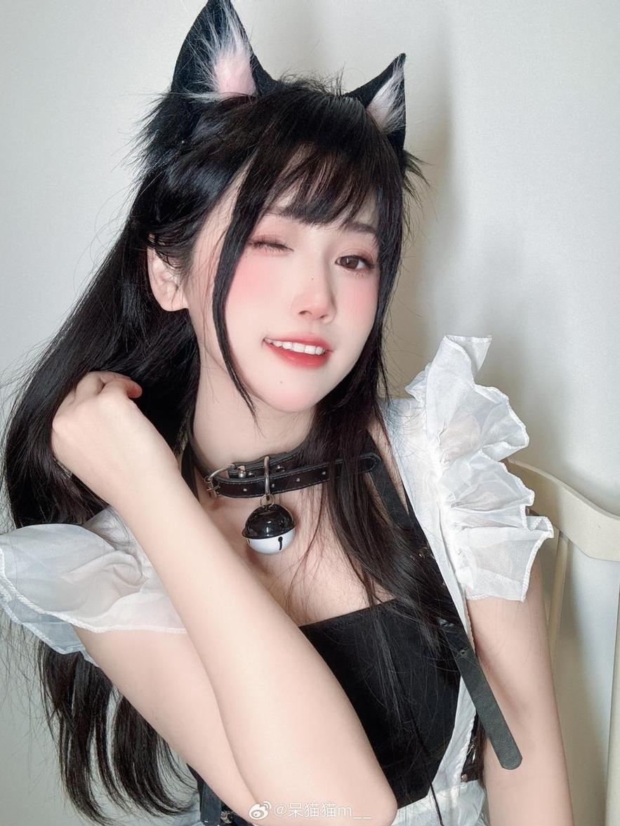 不呆猫抖娘的原图，真是太厉害了