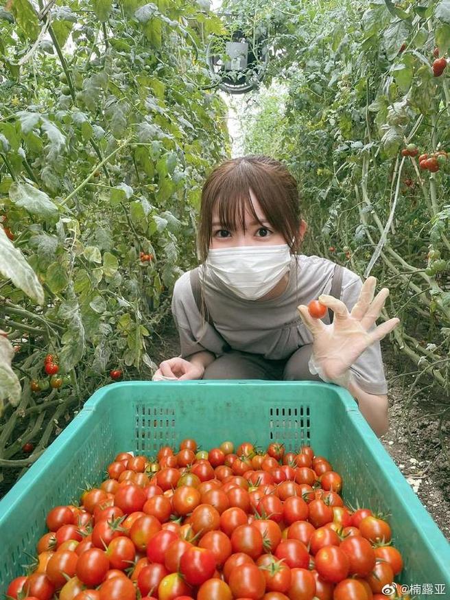 楠露亚私房图包曝光，高清原图尽收眼底