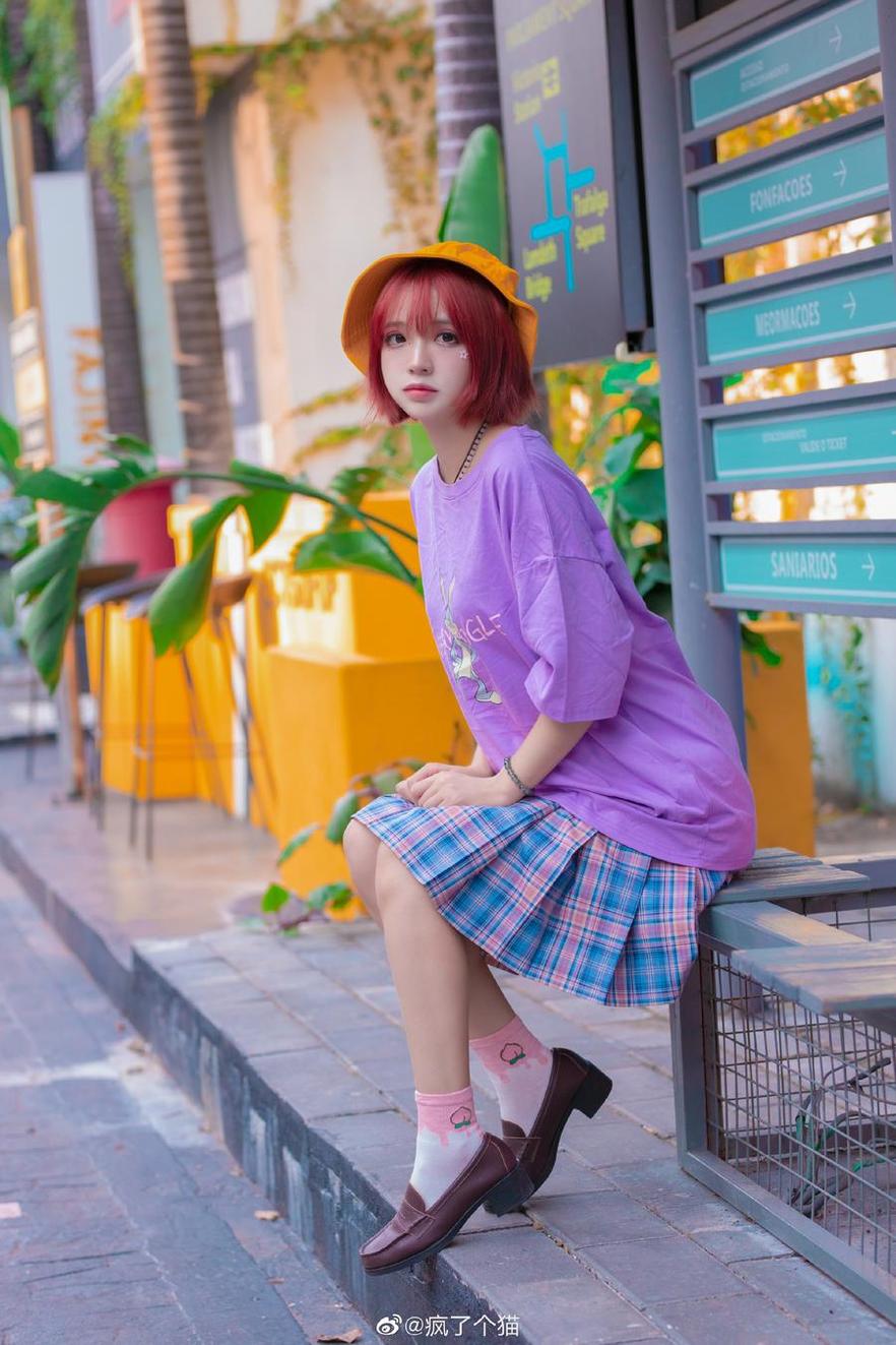 清新唯美疯猫ss图包，摄影艺术之美令人陶醉